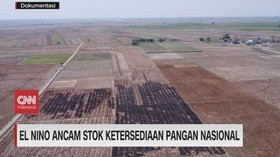 VIDEO: El Nino Ancam Stok Ketersediaan Pangan Nasional