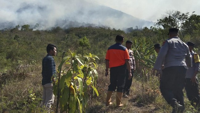 Sekteratir BPBD Kabupaten Karangasem mengatakan diperkirakan sudah mencapai 30 hektare lahan yang terdampak karhutla di lereng Gunung Agung.