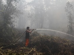 Cegah Karhutla Sumatera-Kalimantan, Menteri LH Siapkan Hujan Buatan