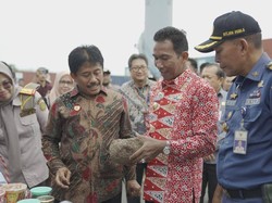 Babel Ekspor 25 Ton Umbi Porang Hasil Petani Lokal ke China
