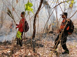 Kebakaran Hutan Taman Nasional Baluran Situbondo Lebih 160 Hektare