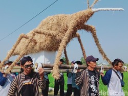 Unik! Ogoh-Ogoh Wereng Diarak di Festival Mbok Sri Delanggu Klaten