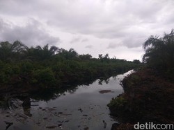 PT Kallista Alam Bayar Ganti Rugi Karhutla Rp 57 M, Sisanya Rp 57 M Menyusul