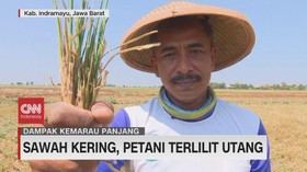VIDEO: Gagal Panen, Petani Terlilit Hutang Hingga Jual Rumah