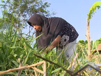 Terseok-seok Ibu Buruh Tani Ini Hidupi 7 Orang Anak dengan Kaki Tak Sempurna