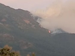 5 Fakta Kebakaran Gunung Lawu: 35 Hektare Terdampak-Kabar Mbok Yem