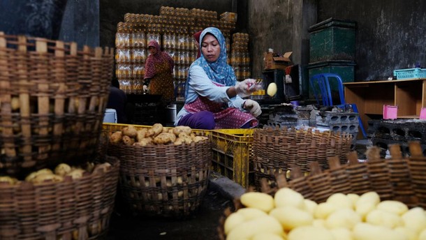 Hilirisasi Riset Kampus Buka Peluang bagi UMKM dan Industri