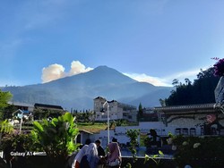 Perhutani Pastikan Kebakaran Gunung Lawu Padam Total