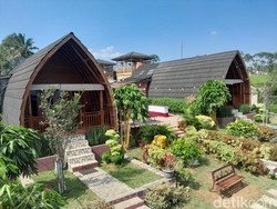 Ada Villa di Kebun Teh Kapahiang, Mau Coba?