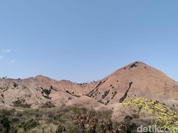 Cagar Alam Wae Wuul, Spot Wisata Komodo Tanpa Nyebrang Lautan di Labuan Bajo