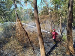 Meningkat, Ada 18 Kejadian Kebakaran Lahan di Karangasem Pada September 2023