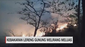 VIDEO: Kebakaran Lereng Gunung Welirang Meluas