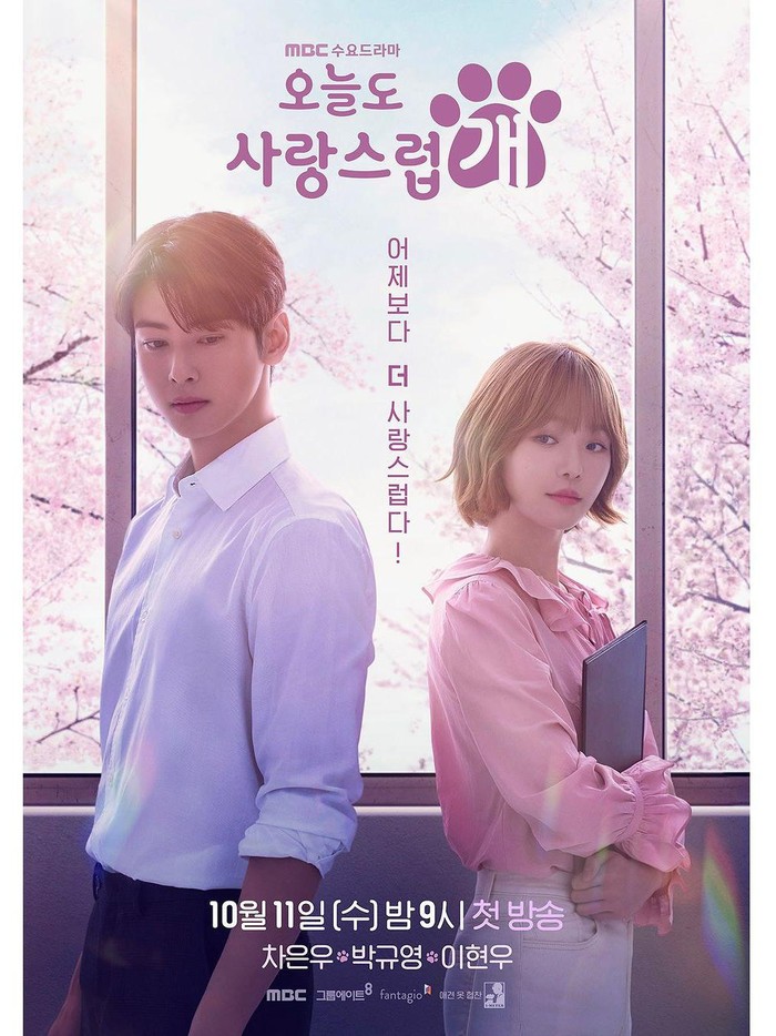 A Good Day to be a Dog