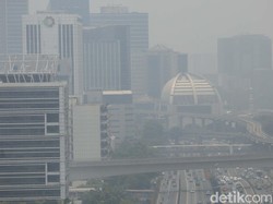 Waspada Polusi, Ini 8 Makanan dan Minuman untuk Membersihkan Paru-paru