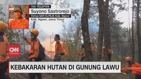 VIDEO: Kebakaran Hutan di Gunung Lawu