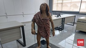Arkeolog BRIN Bongkar 2 Rintangan Telusuri Manusia Hobbit Flores