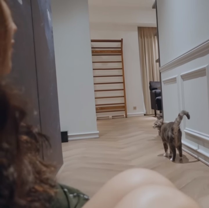 <p>Beginilah potret ruang tengah Sherina dan Baskara. Di sana tersedia sofa, meja, tv, dan langsung menghadap ke jendela yang menawarkan pemandangan kota. (Foto: YouTube Sherina and Baskara)<br /><br /><br /></p>