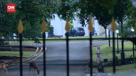 VIDEO: Mobil SBY Terlihat Masuk Istana Bogor. Temui Jokowi?