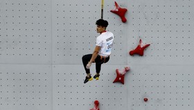 scatter dragon terbaru