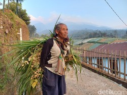 Kebakaran Lawu Merembet ke Karanganyar, Warga Jenawi Beraktivitas Normal