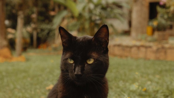 3 Mitos Horor Paling Populer di Indonesia, Mana yang Pernah Kamu Percaya?