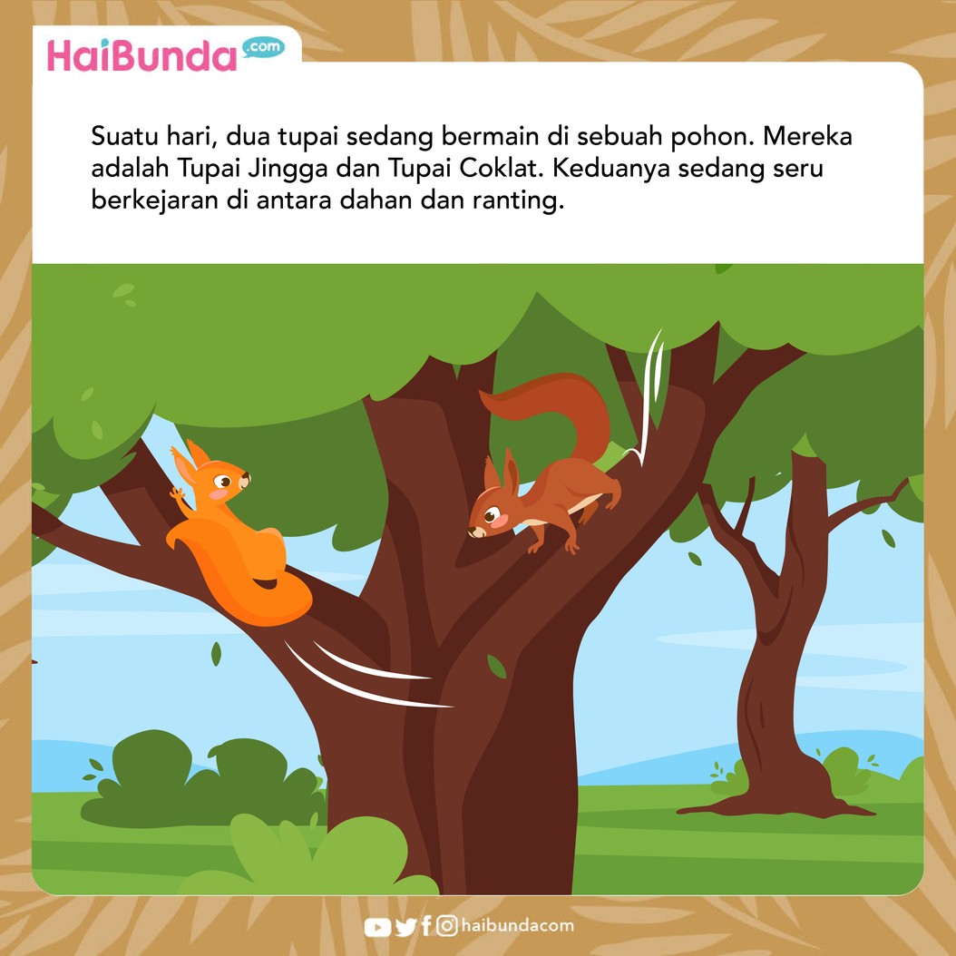 Dongeng Kupu-kupu
