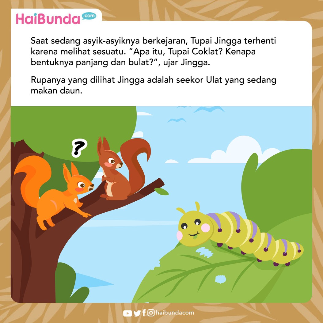 Dongeng Kupu-kupu