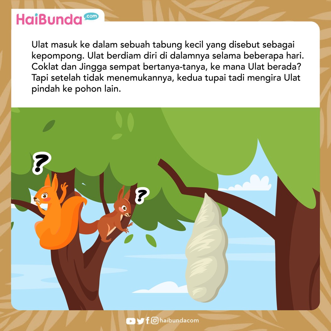 Dongeng Kupu-kupu
