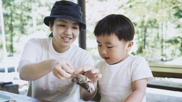 PILIHAN IKAN UNTUK ANAK