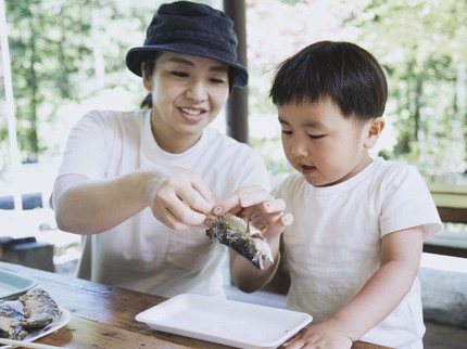 9 Jenis Ikan yang Bagus untuk Kecerdasan Otak Anak dengan Harga Terjangkau