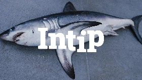 INTIP: 5 Ikan yang Tidak Boleh untuk MPASI
