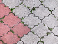 Tips Simpel Agar Paving Rumah Bebas Lumut dan Rumput Liar