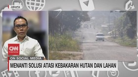 VIDEO: Menanti Solusi Atasi Kebakaran Hutan dan Lahan