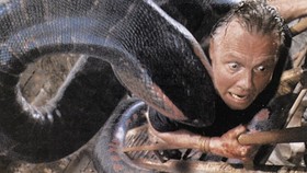 Sinopsis Anaconda (1997), Bioskop Trans TV 20 Juni 2024