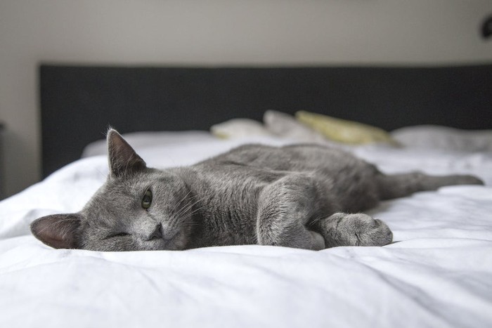 Benda Ini Tidak Boleh Disimpan di Kamar Tidur