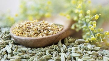 HERBAL PALING MAHAL DI DUNIA