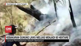 VIDEO: Kebakaran Gunung Lawu Meluas Menjadi 60 Hektare