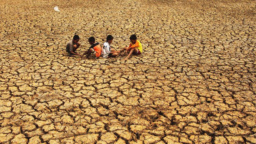 Kapan Puncak Musim Kemarau 2026 di Indonesia? Ini Kata BMKG