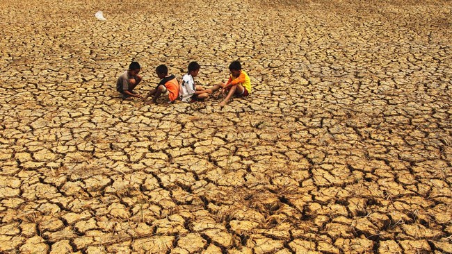 Pergeseran Iklim: La Niña Menggantikan El Niño di Pasifik