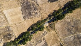 Foto udara area persawahan yang mengering akibat kemarau di Kabupaten Gowa, Sulawesi Selatan. ANTARA FOTO/Arnas Padda/YU