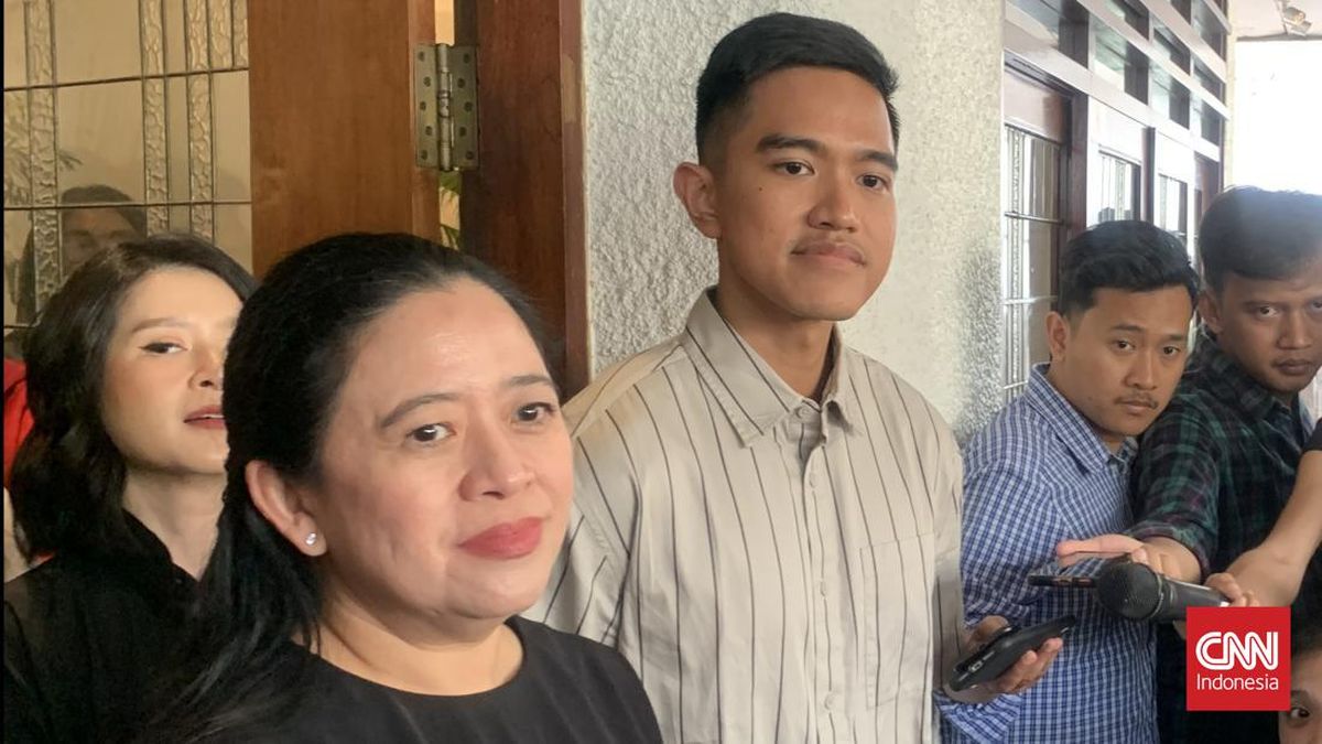 PDIP Usai Kaesang Mau Maju Pileg di Dapil Puan: Jateng Kandang Banteng