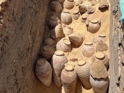 Ratusan Guci Anggur Berusia 5.000 Tahun Ditemukan di Mesir