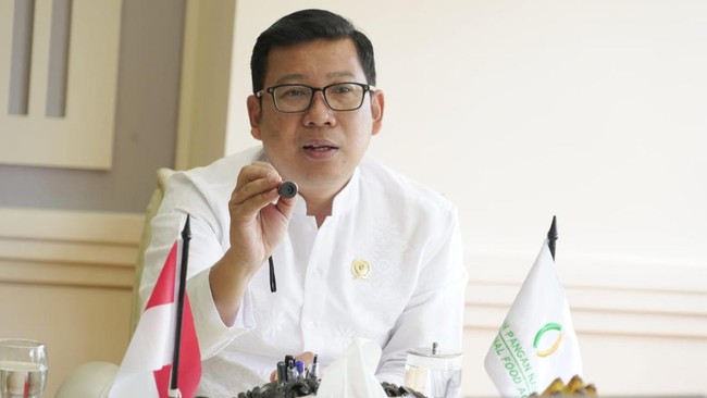 Kepala Badan Pangan Nasional Arief Prasetyo Adi membantah kelangkaan beras yang terjadi di toko ritel belakangan ini imbas program bantuan pangan Jokowi.