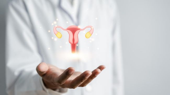 Mengenal Proses Oogenesis pada Proses Pembentukan Sel Telur Perempuan