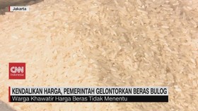 VIDEO: Kendalikan Harga, Pemerintah Gelontorkan Beras Bulog