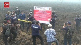 VIDEO: KLHK Segel 4 Perusahaan Sawit Dan 5 Perkebunan Warga Di Kalteng