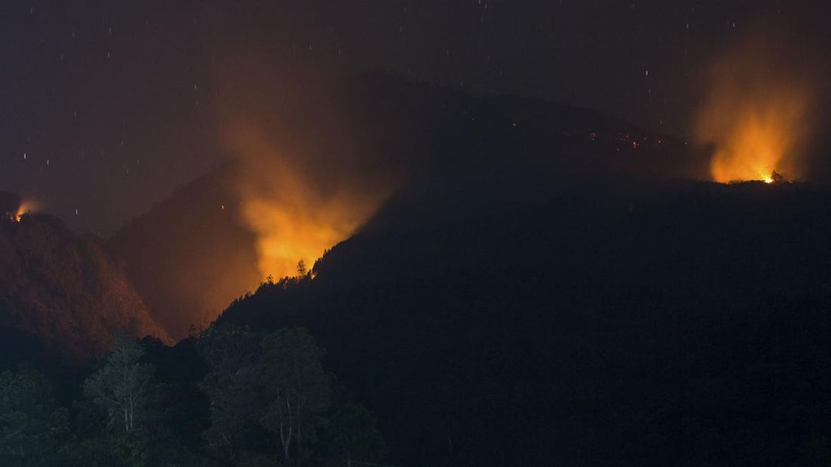 Hutan Lereng Gunung Lawu Kebakaran, Pemadaman Sulit Dilakukan — NadiKabar.com