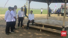 Jokowi Sebut Cadangan Beras di Gudang Bulog Masih Kurang