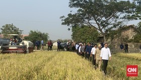 Jokowi Panen Raya Tanpa Syahrul Yasin Limpo