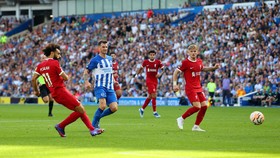 Hasil Liga Inggris: Salah Dua Gol, Liverpool Ditahan Brighton 2-2